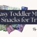 Easy Toddler Meals & Snacks for Travel