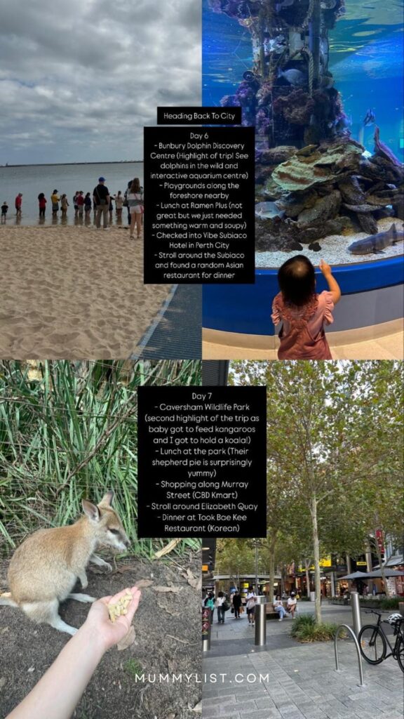 9D8N Perth Itinerary with Toddler: Day 6 & 7