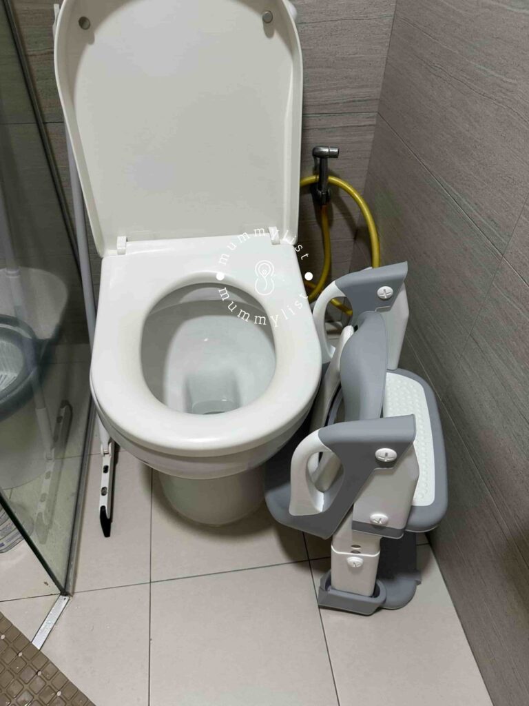 How to potty train a toddler: 2 in 1 potty and toilet seat